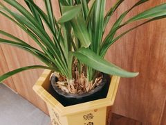 -顺风汤馆·广府粤菜(江宸天街店)