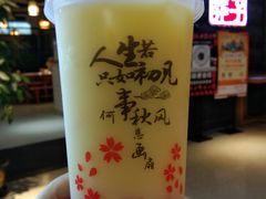 -莽子老火锅(大坪店)