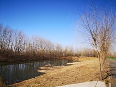 -东郊湿地公园