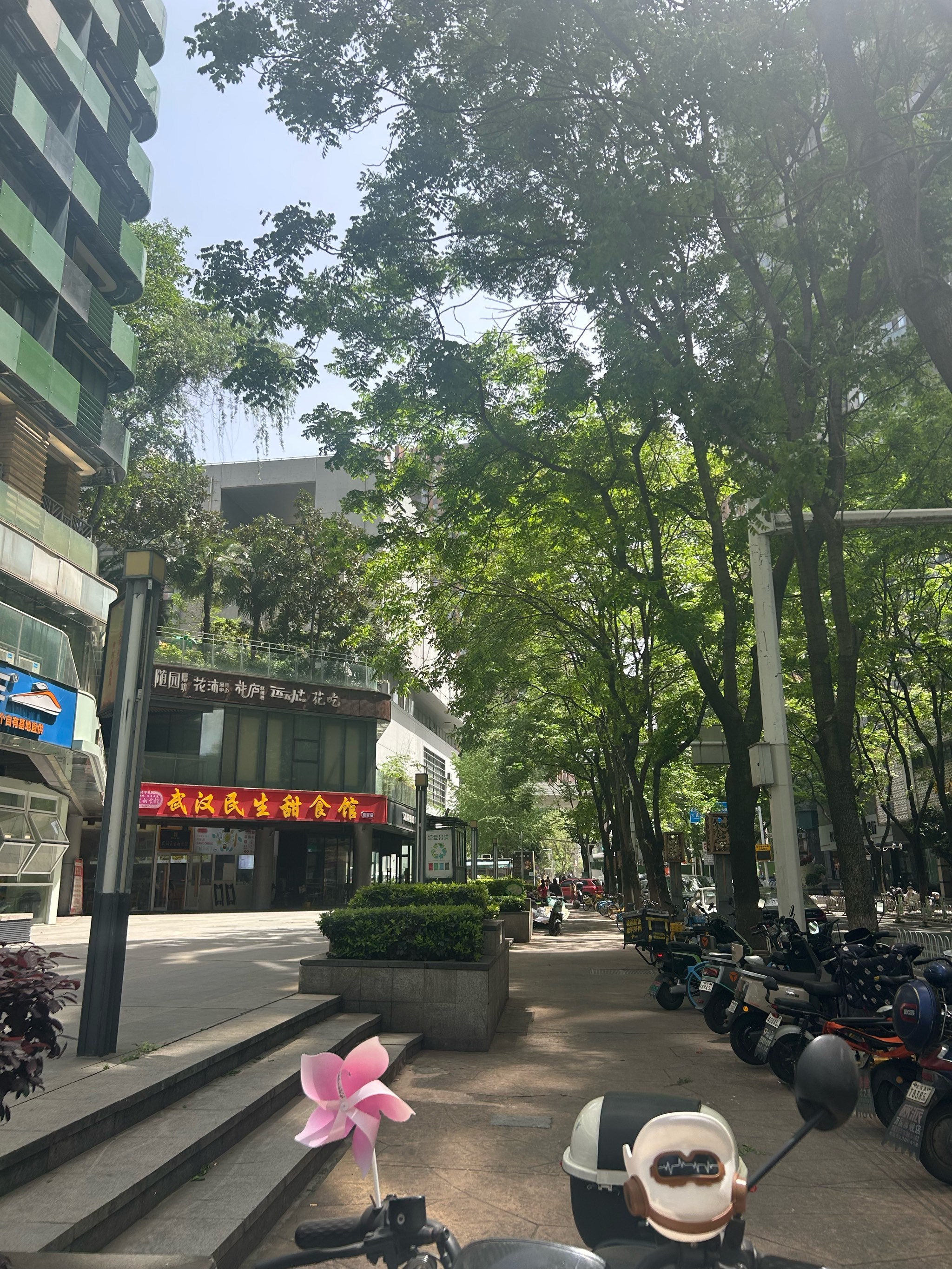 比我还要高的郁金香花束🌷🌷🌷