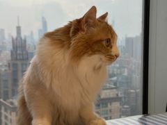 -氷冰凉刨冰甜品(北京路店)