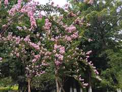 -沙河三洞古桥公园