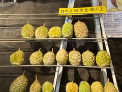-都念榴莲·城市榴莲