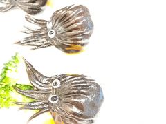 金沙墨鱼饺-蔡澜点心·粤菜(月星环球港店)