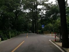 -西樵山风景名胜区-天湖公园