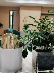 -南京康美美容医院·旗舰店