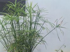 -张家港凤凰山景区恬庄古街