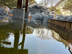 -和园景逸大酒店朗月汤泉