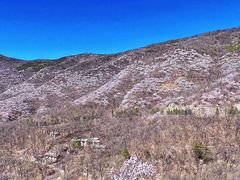 -香山公园