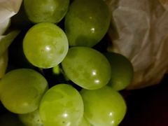 -马陆小张葡萄园农家乐