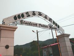 -金石滩蓝莓谷庄园