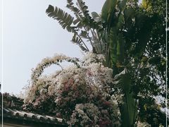 -深圳国际园林花卉博览园