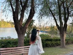 -昆山城市生态森林公园