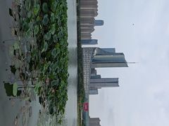 -天鹅湖体育公园