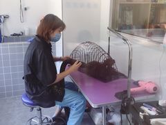 -宠颐生动物医院·心脏科·保险定点(锦阳分院)