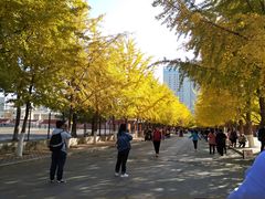 -辽宁大学(崇山校区)