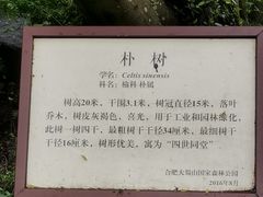 -大蜀山国家森林公园