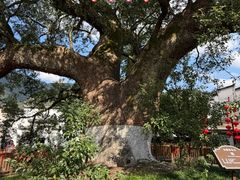 -新安江山水画廊风景区