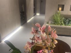 -施奈儿.洗头頭療.按摩SPA.采耳(上梅林店)