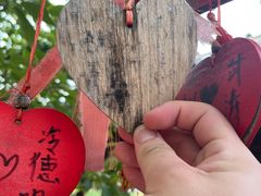 -祥源·阜阳生态乐园