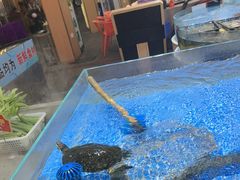 -皮记海鲜1995(寮步店)