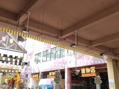 -苏州乐园森林水世界