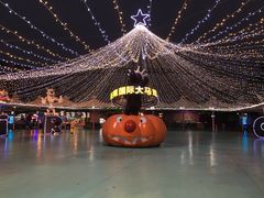 -广州长隆国际大马戏