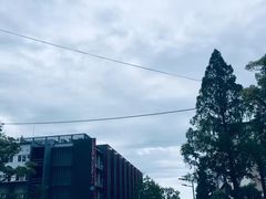 -一兰拉面(梅田阪急东通店)