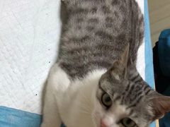 -安安宠医·安宠宠物医院