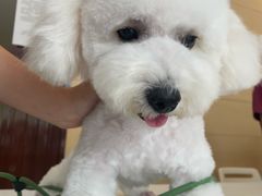 -美联众合24小时·皮肤科·外科·全科诊疗中心(华苑分院)