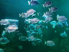 -洛阳龙门海洋馆