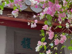 -深圳国际园林花卉博览园