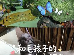 -萌宠奇缘(荣鼎店)