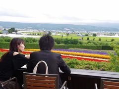 -富田农场