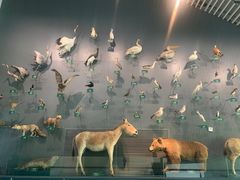 -中国湿地博物馆