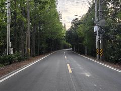 -上海海湾国家森林公园