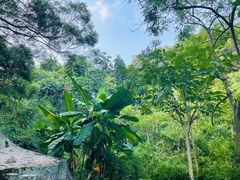 -青芝山风景名胜区