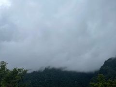 -牛背梁国家森林公园