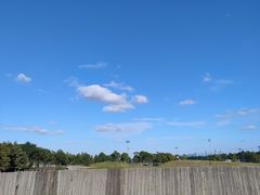 -春花秋色城市公园