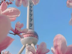 -东方明珠广播电视塔