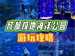 -海合安成都极地海洋公园