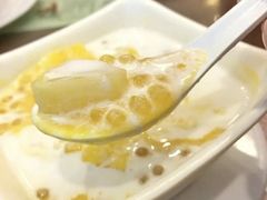 杨枝甘露-南信牛奶甜品专家