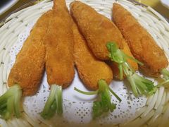 -丁老爷子苏香圆