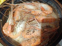 -新白鹿餐厅(百联中环店)