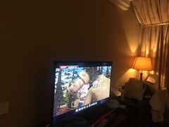 -天安瑞嘉酒店