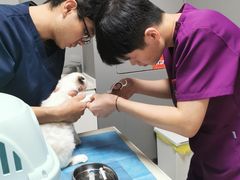 -关爱宠物医院·猫科中心·消化科(滨湖万达分院)