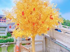 -东涌水乡风情街