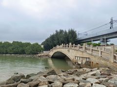 -宝安西湾红树林湿地公园