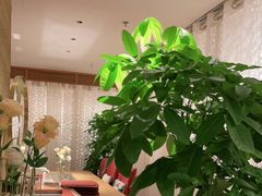 -滋色臻选川菜(北京坊旗舰店)
