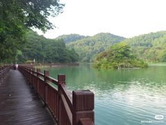 -广州白江湖森林公园